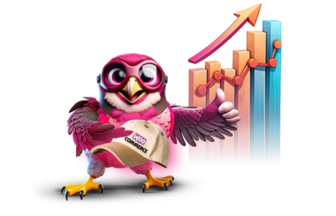 Rapyd's Fleet: The E-Commerce Champion - Rapyd Blog Rapyd's Fleet: The E-Commerce Champion